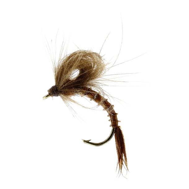 Unique Flies Marginata Emerger Biot Brown, TMC212 #13