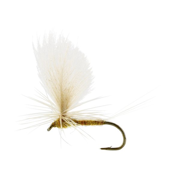 Unique Flies Sulphurea Dun Ginger, TMC100