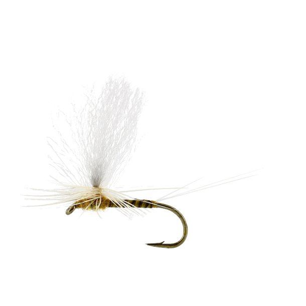 Unique Flies Sulphurea Dun Quill Yellow TMC