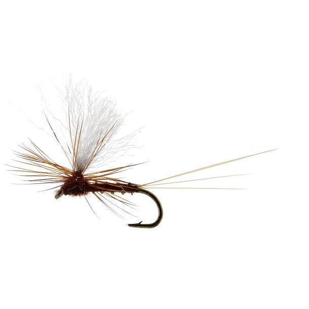 Unique Flies Vespertina Dun Biot Brown, TMC100